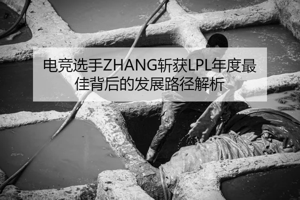 电竞选手ZHANG斩获LPL年度最佳背后的发展路径解析