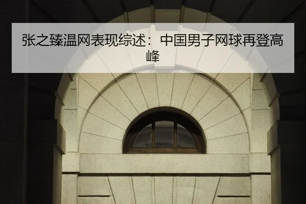 张之臻温网表现综述：中国男子网球再登高峰